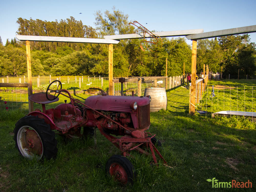 farm-field-GrowKitchen-tractorIMG_0303