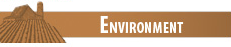 Environment Category