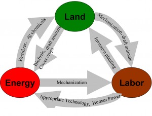 Substitution trade-offs between land, labor, and energy