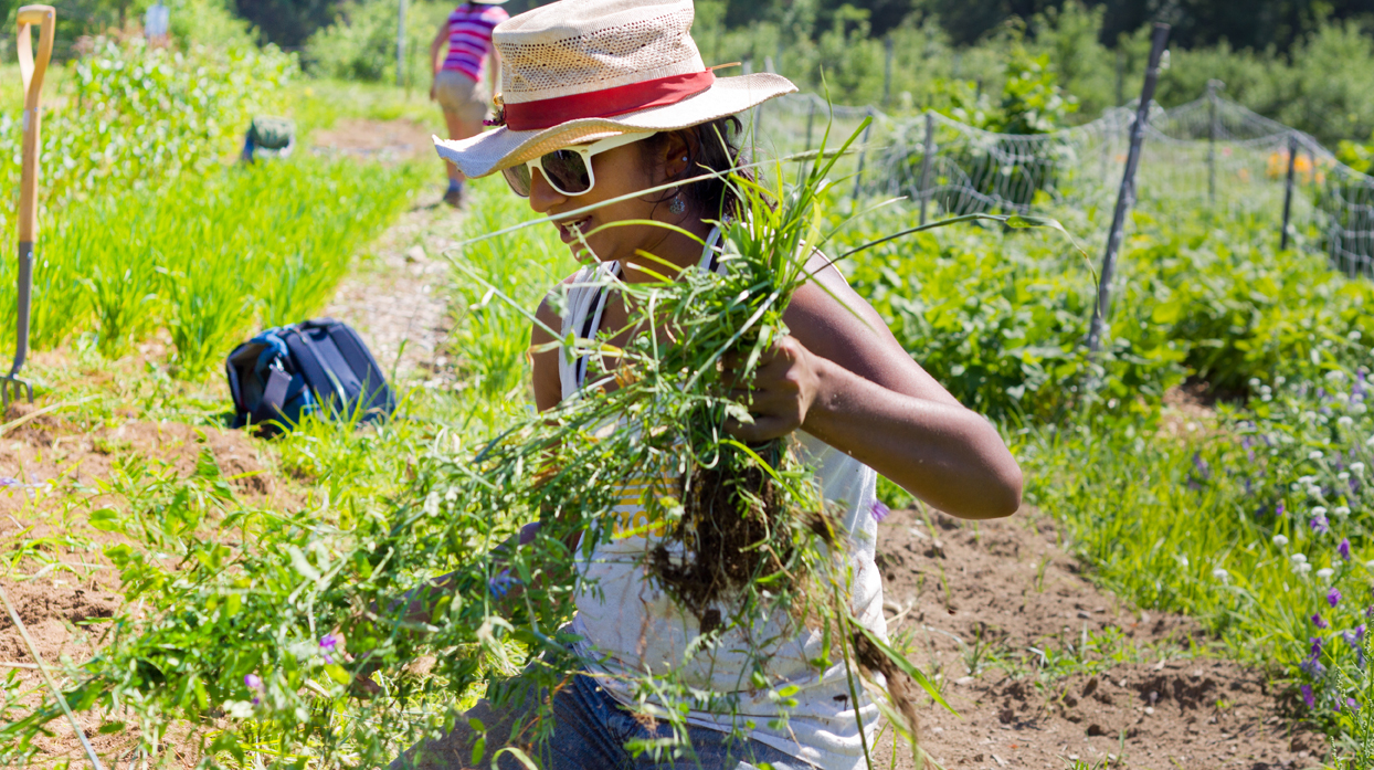 Finding Job Satisfaction Through a Career in Food Systems UVM
