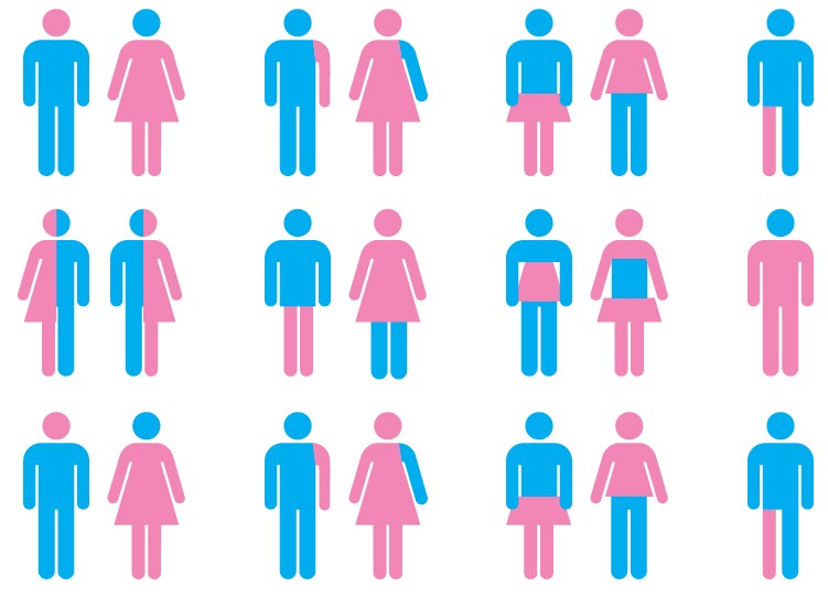 differents genders