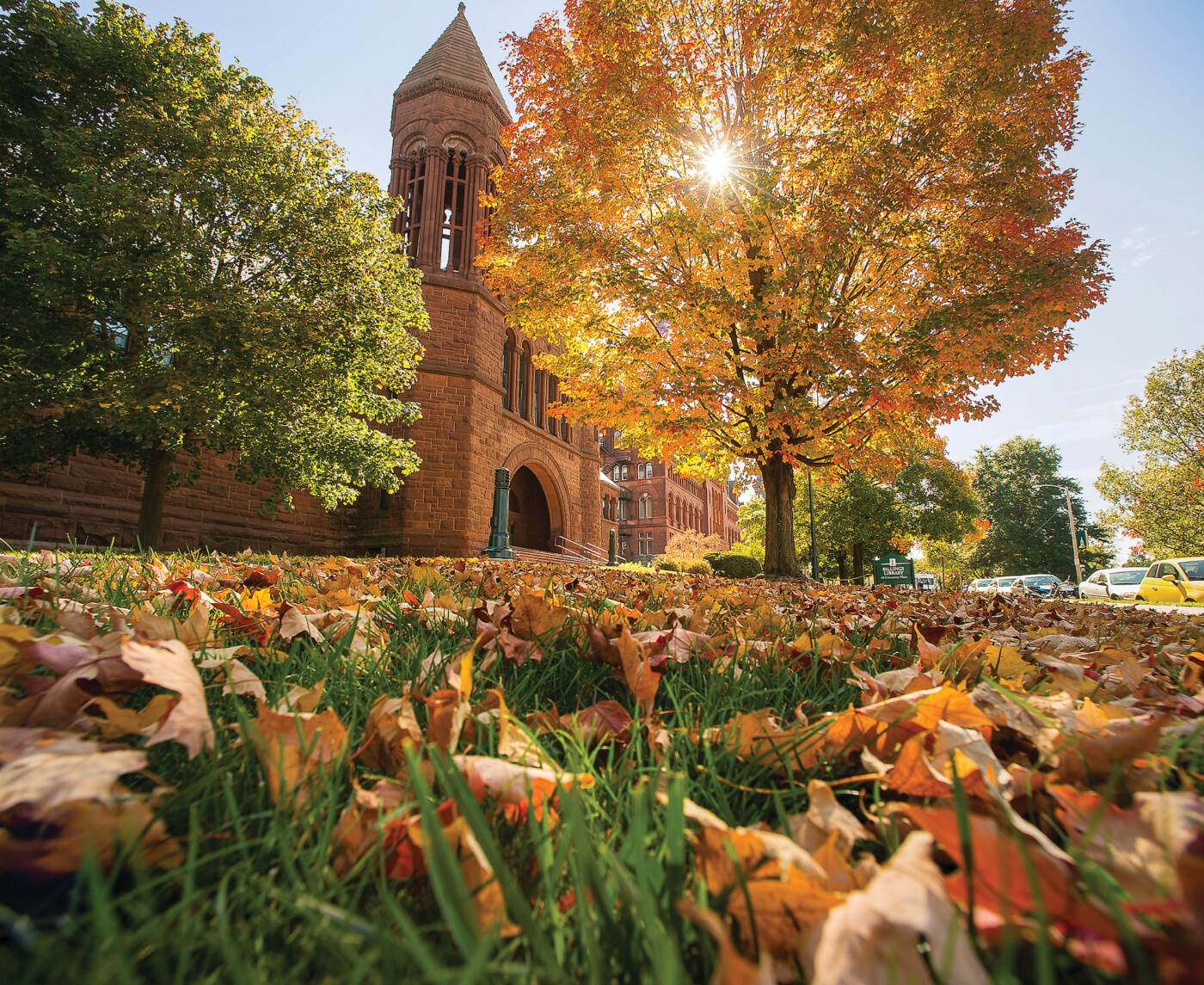 uvm visit days