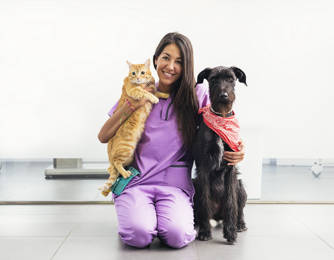 Cheerful women veterinary holding a yellow cat and dog Veterinary Concept