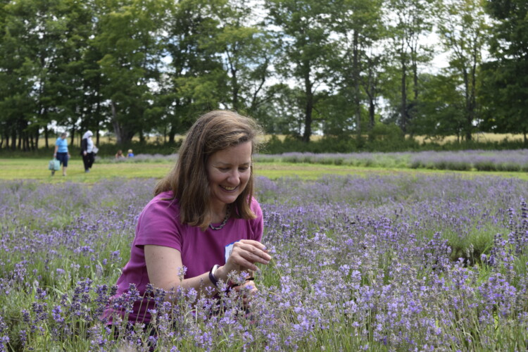 OLLI member picking lavender during a workshop