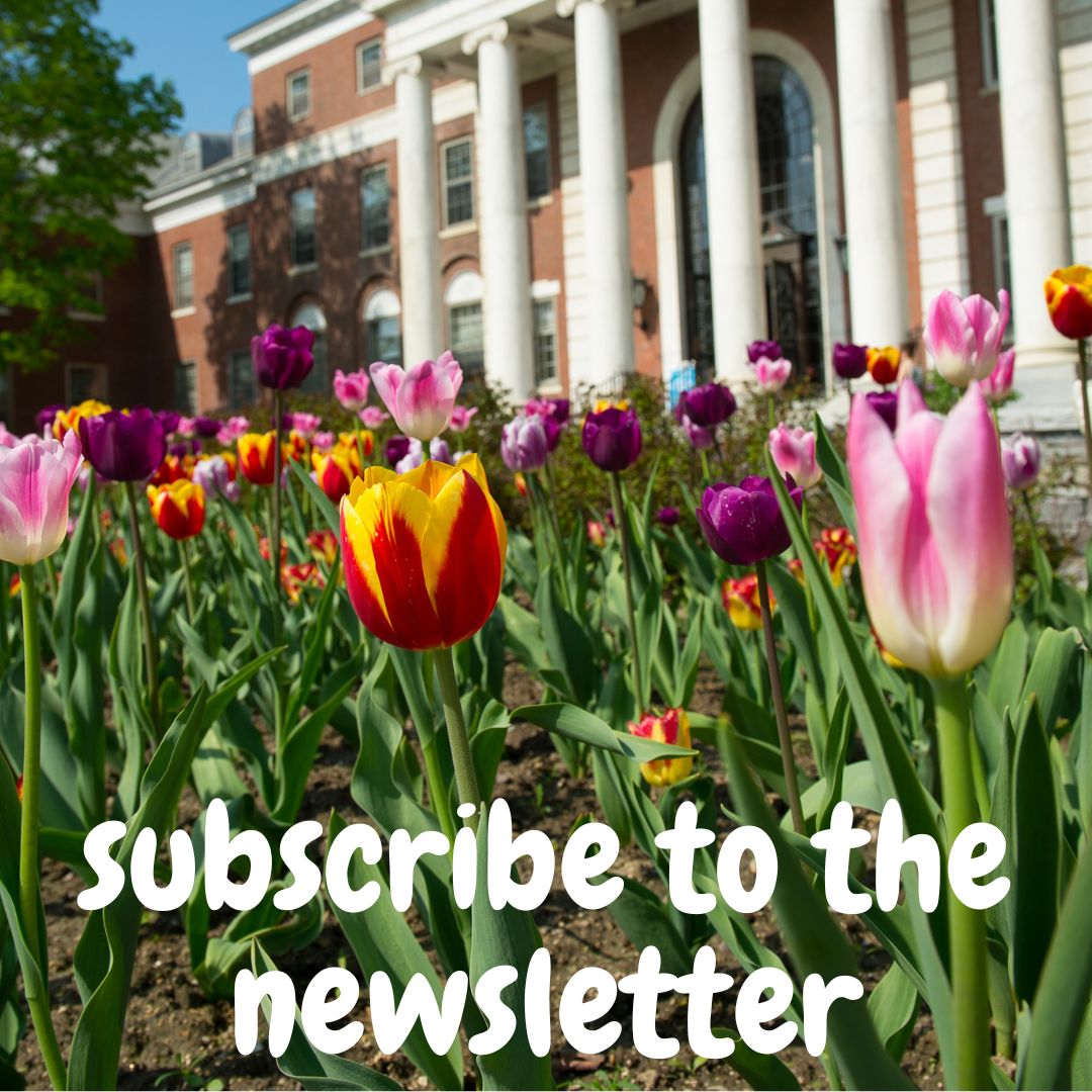 image of tulips with text "Subscribe to the newsletter"