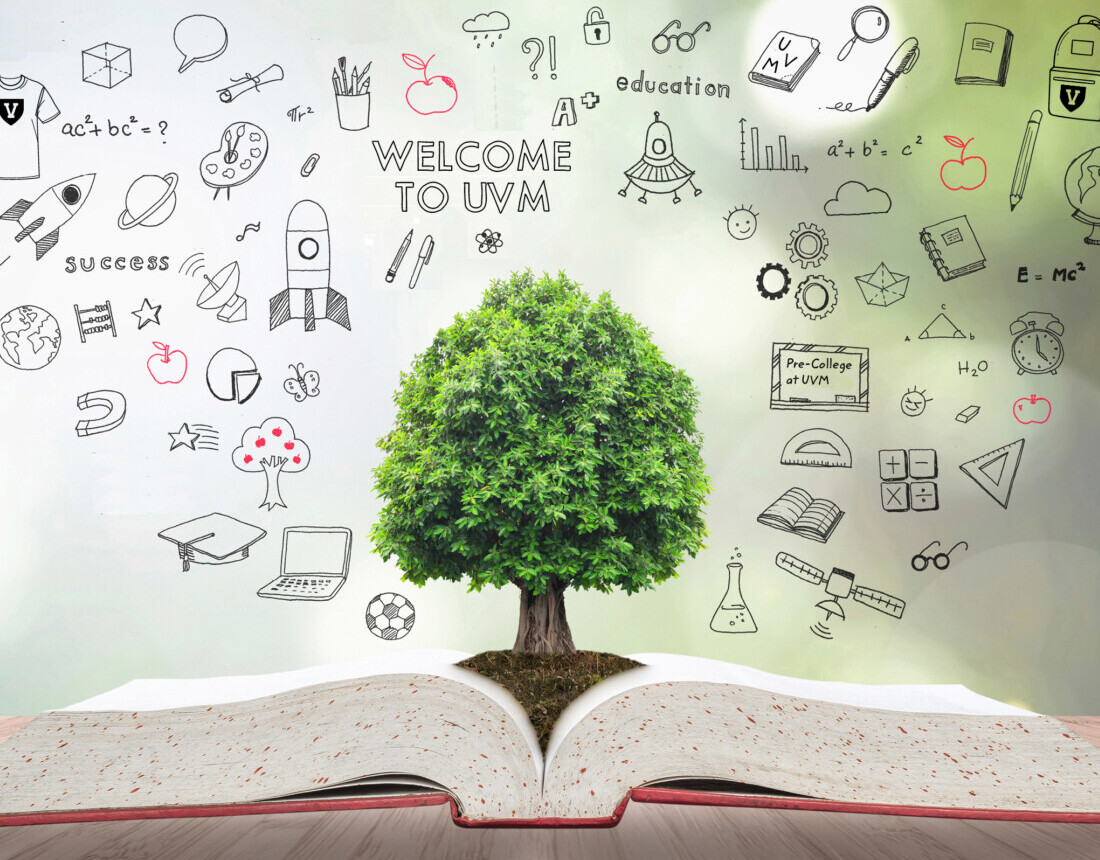 Continued learning and growth at UVM