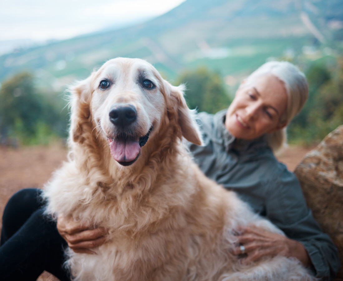 end of life doula with her companion animal