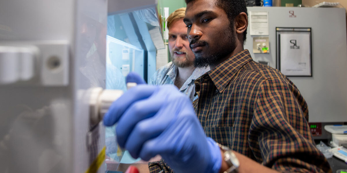 UVM students in a research lab